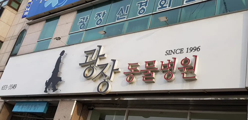 광장동물병원 대표 이미지