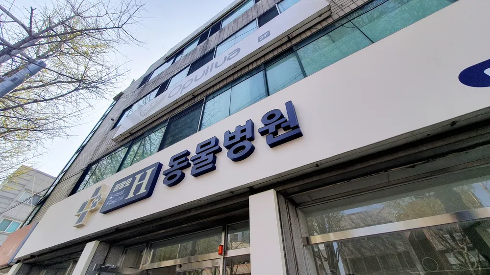 희망로H동물병원 대표 이미지