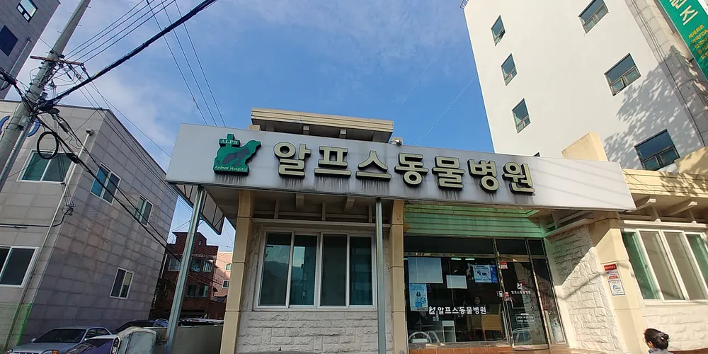 알프스동물병원 대표 이미지