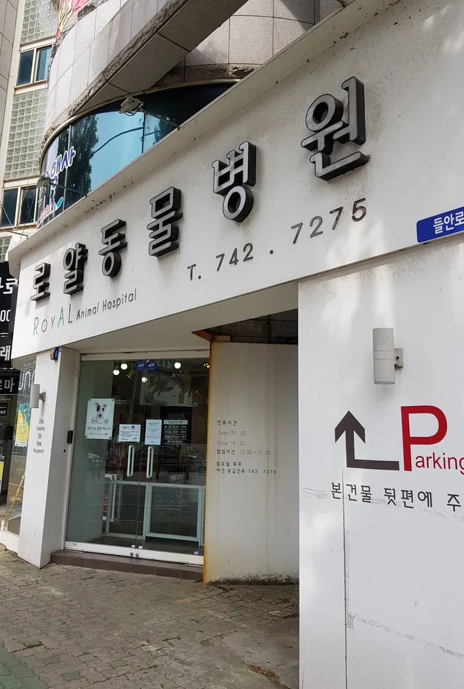 로얄동물병원 대표 이미지
