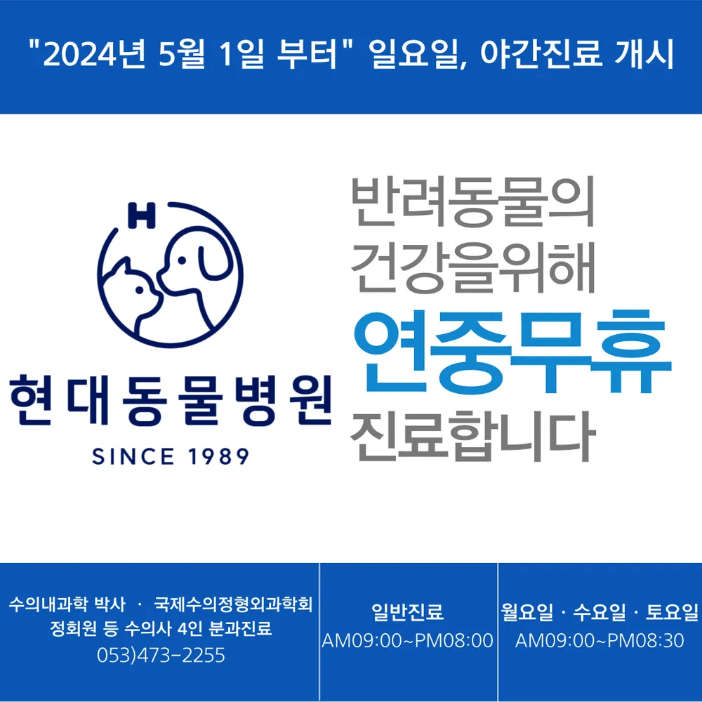 현대동물병원 대표 이미지