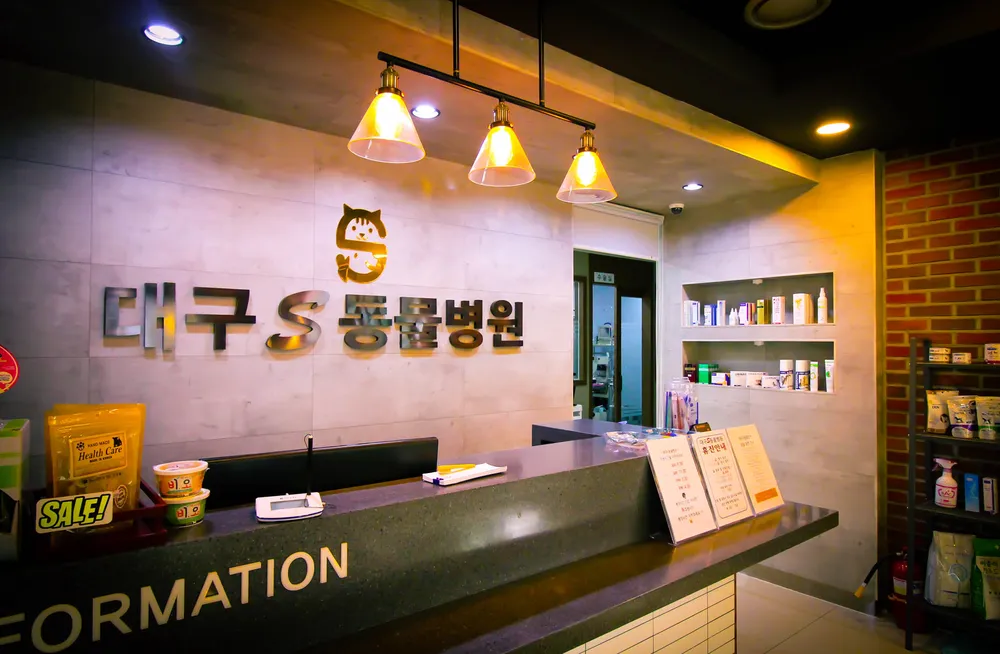 대구S동물병원 대표 이미지
