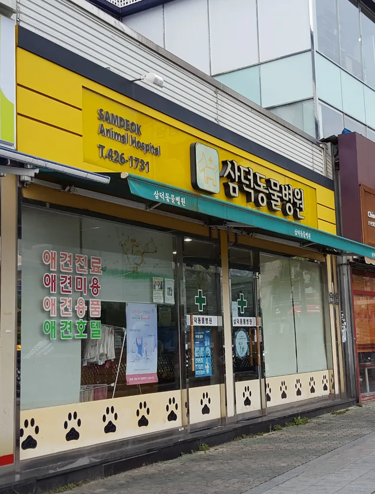 삼덕동물병원 대표 이미지