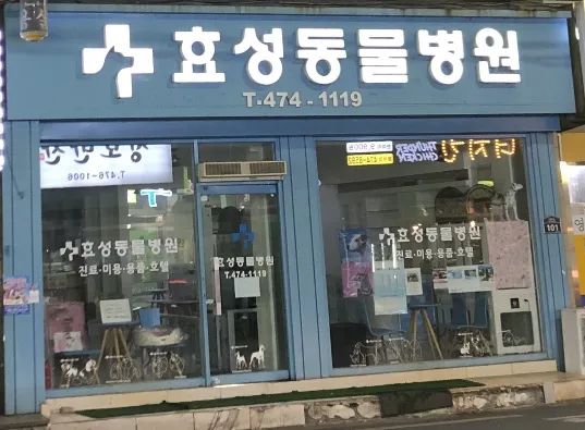 효성동물병원 대표 이미지