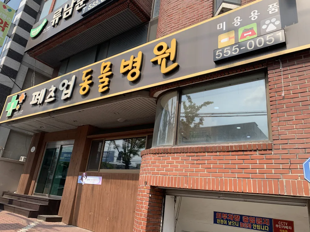 페츠업동물병원 대표 이미지