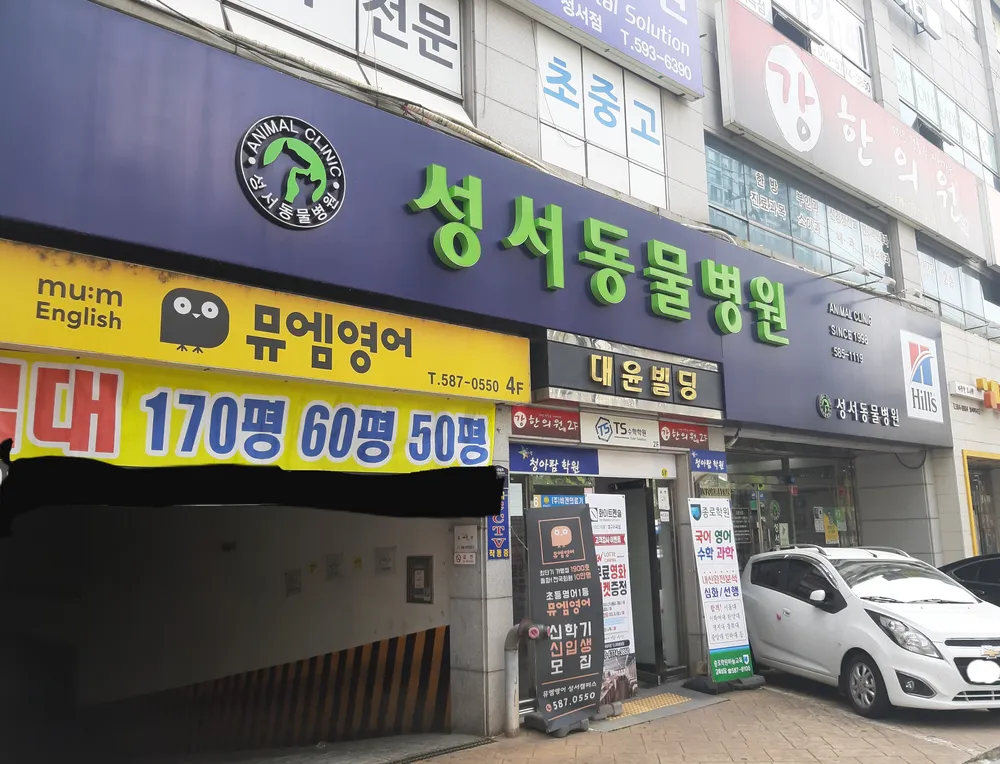 성서종합동물병원 대표 이미지