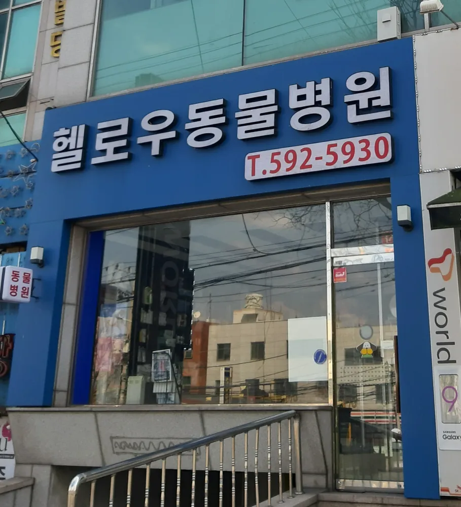 헬로우동물병원 대표 이미지