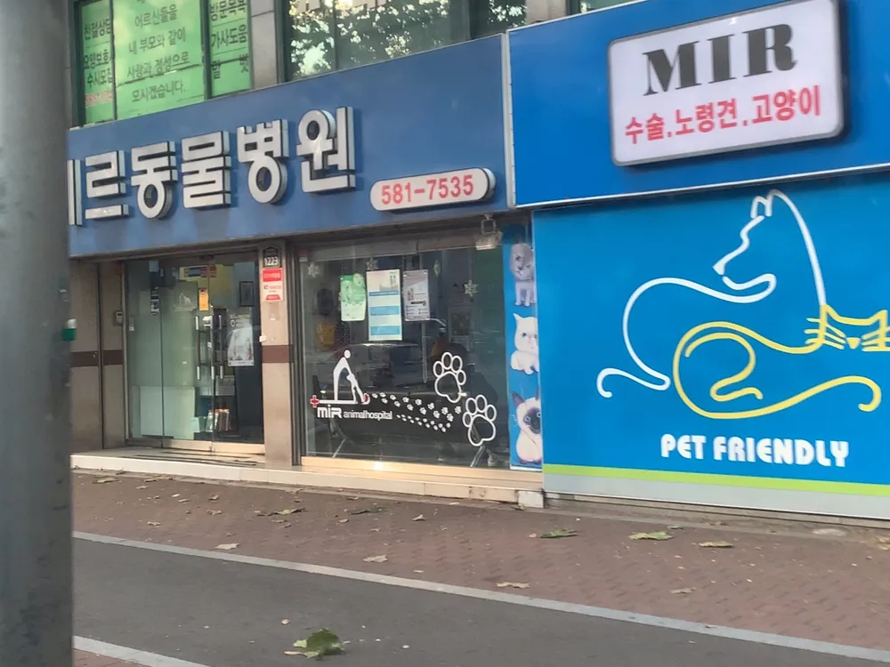 미르동물병원 대표 이미지