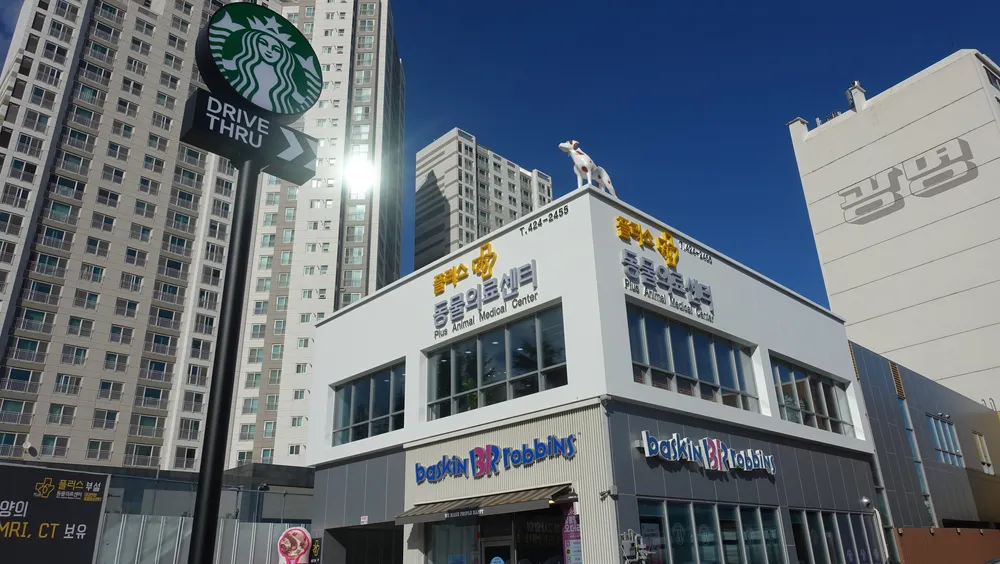24시 플러스동물의료센터 대표 이미지