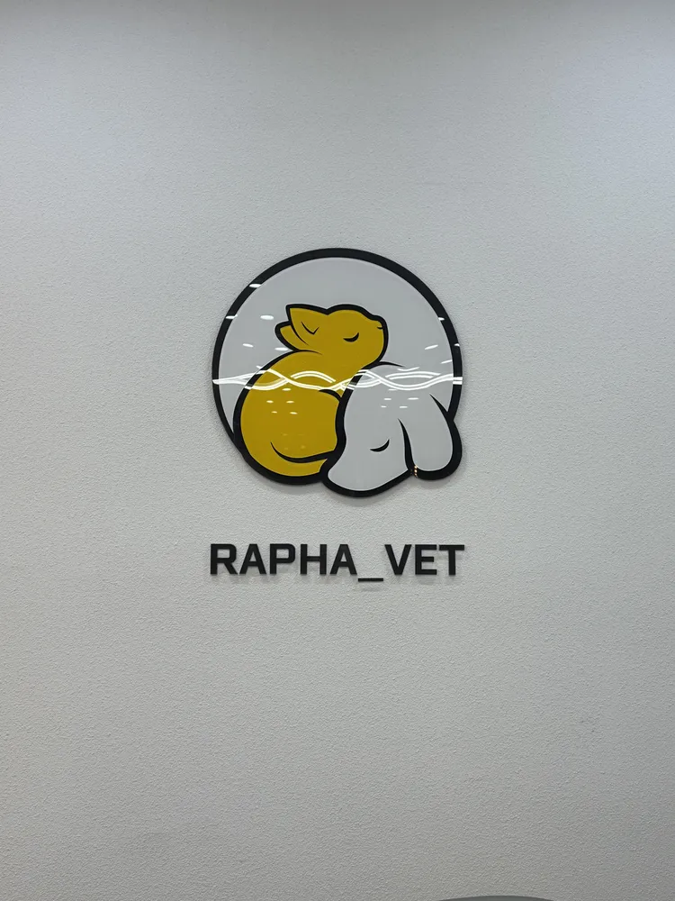 라파동물병원 대표 이미지