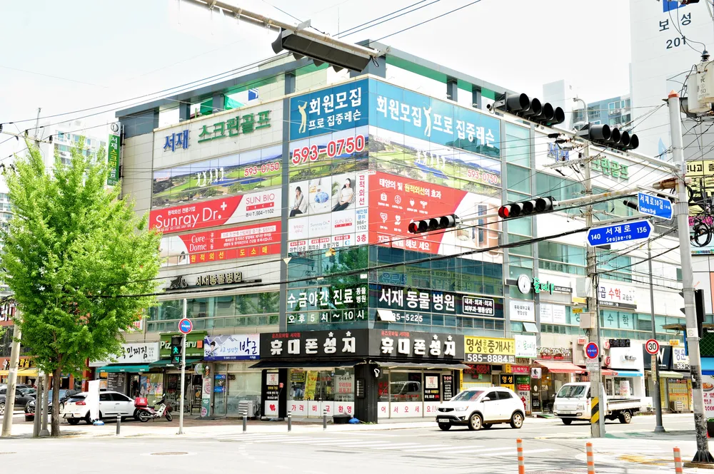 서재동물병원 대표 이미지