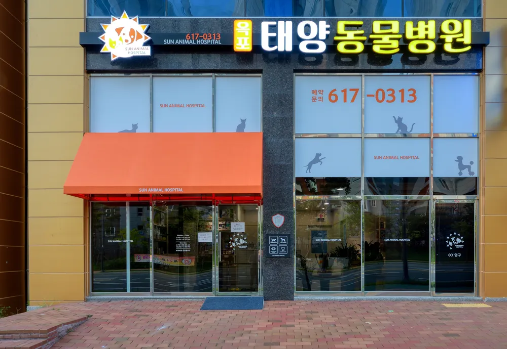 옥포태양동물병원 대표 이미지