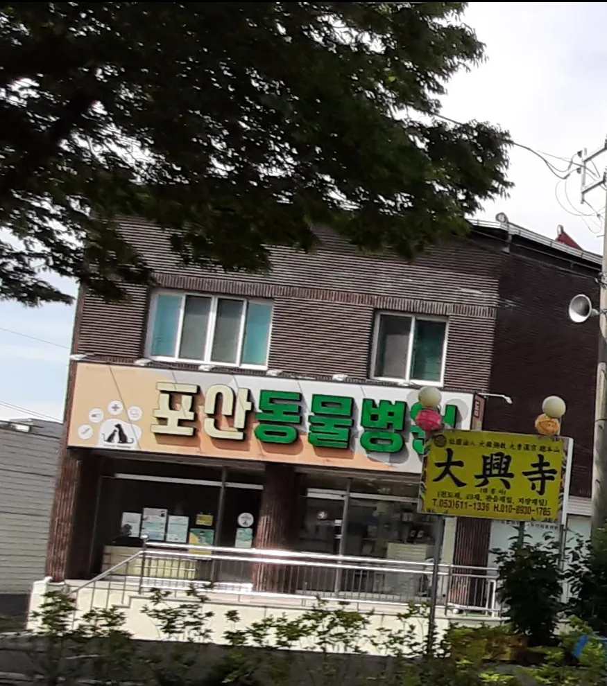 포산동물병원 대표 이미지