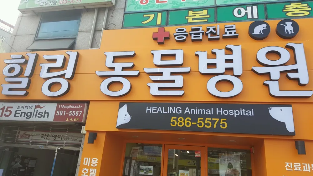 힐링동물병원 대표 이미지