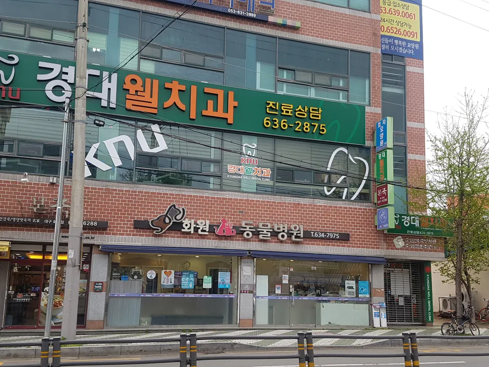 화원연합동물병원 대표 이미지