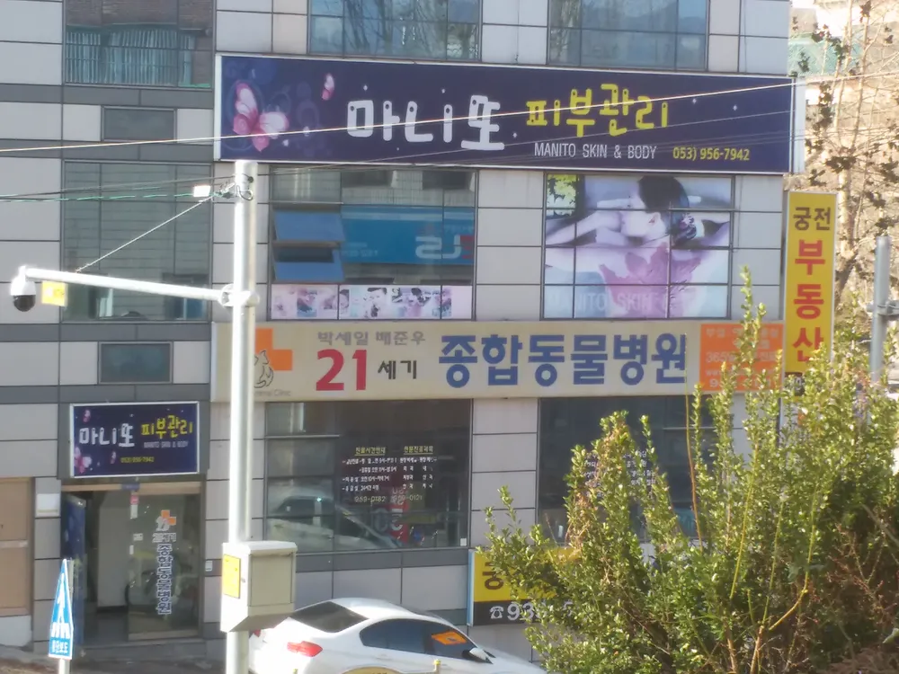 21세기동물병원 대표 이미지