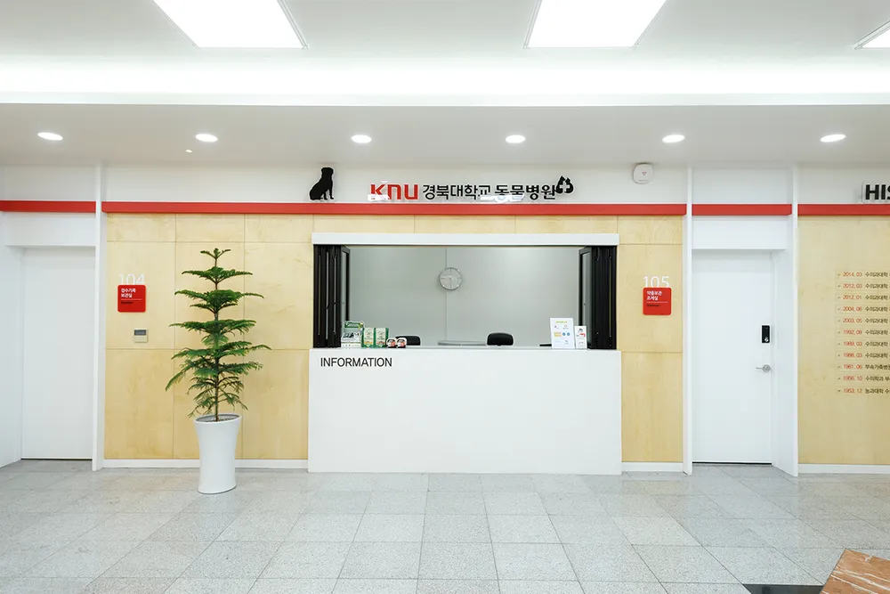 경북대학교 수의과대학 부속동물병원 대표 이미지