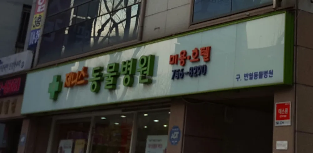 제니스동물병원 대표 이미지