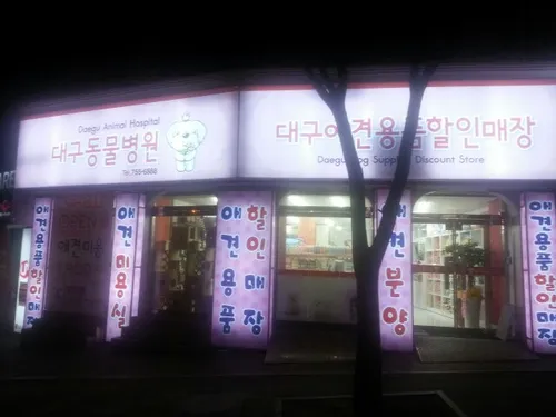 대구동물병원 대표 이미지