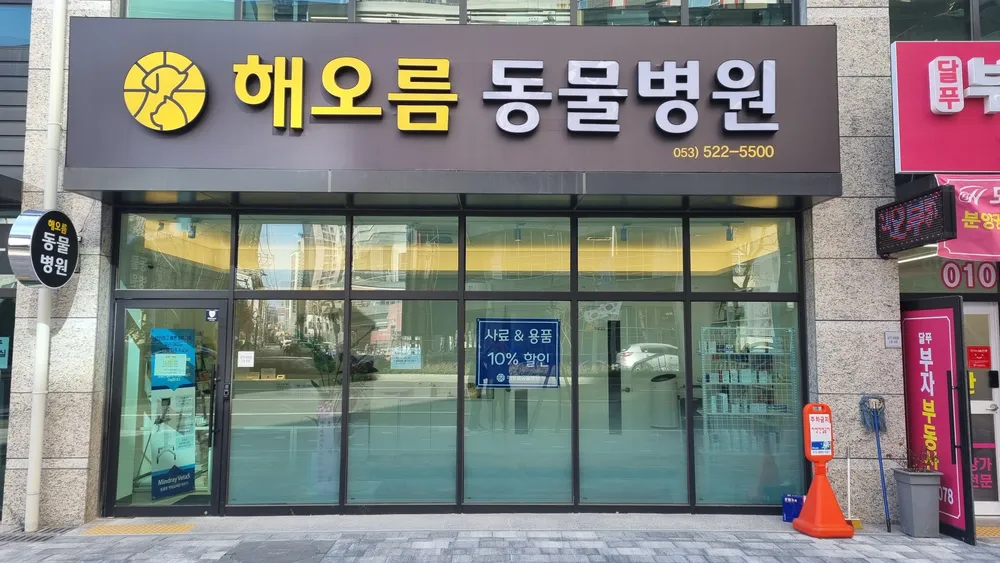 해오름동물병원 대표 이미지
