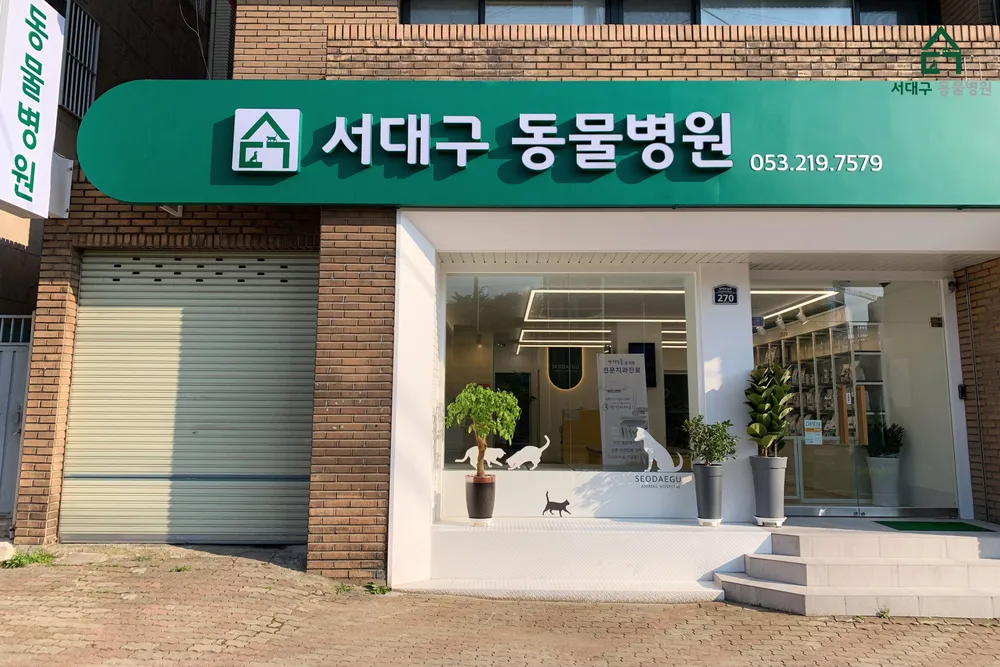 서대구동물병원 대표 이미지