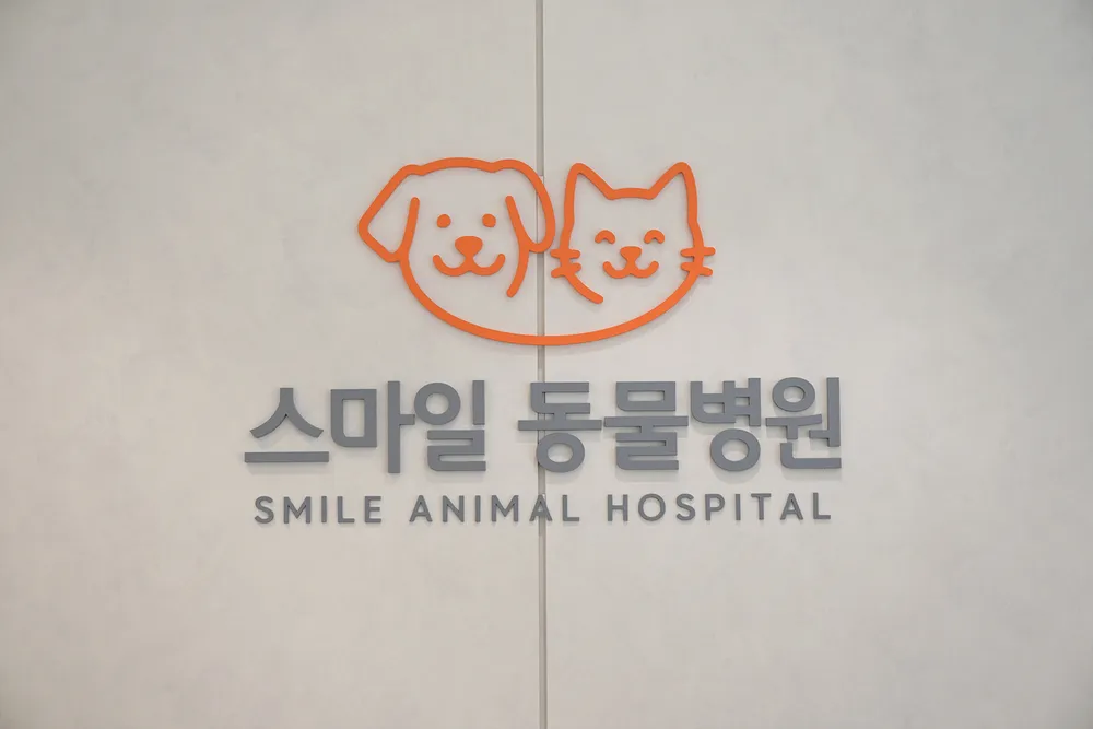 스마일동물병원 대표 이미지