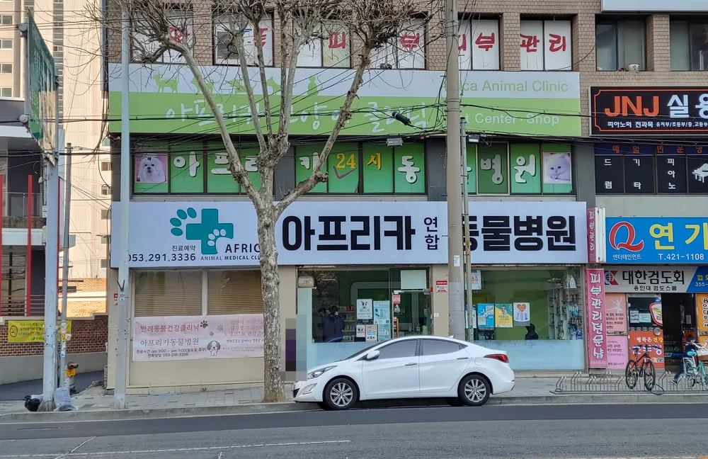 아프리카동물병원 대표 이미지