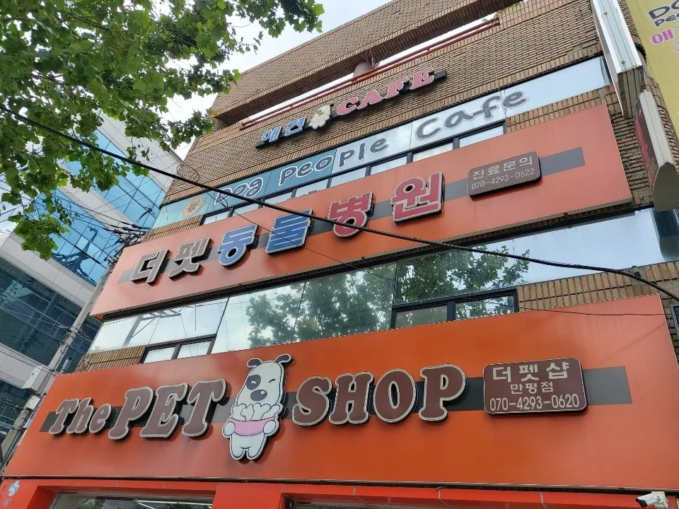 더펫동물병원 대표 이미지