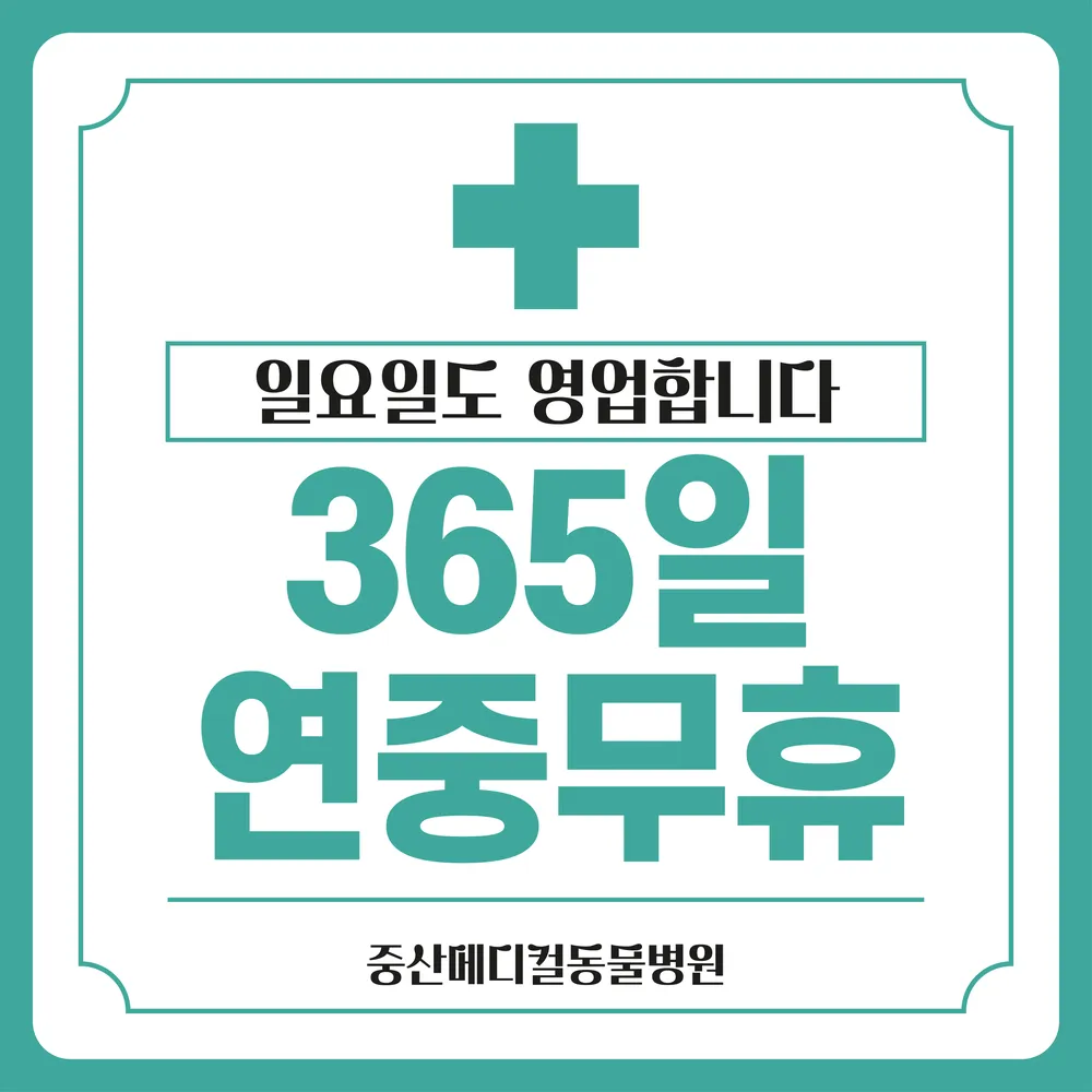 중산 메디컬 동물병원 대표 이미지