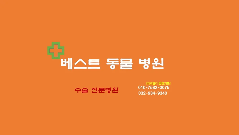베스트동물병원 대표 이미지