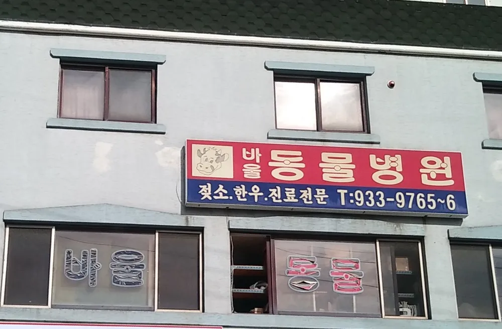 바울동물병원 대표 이미지
