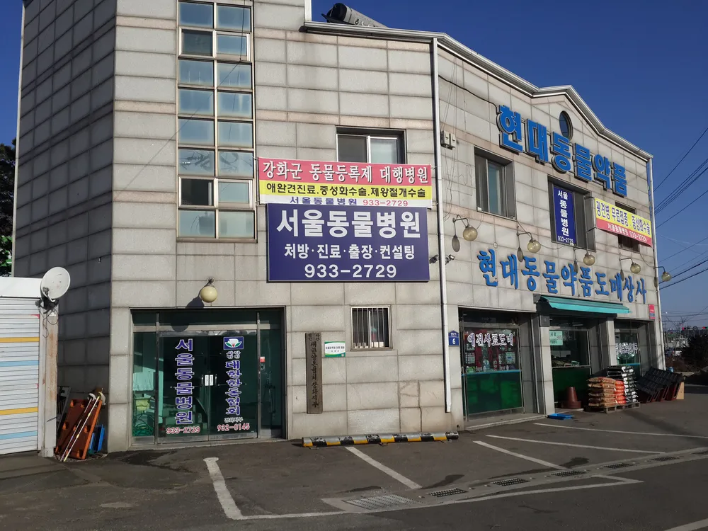 서울동물병원 대표 이미지