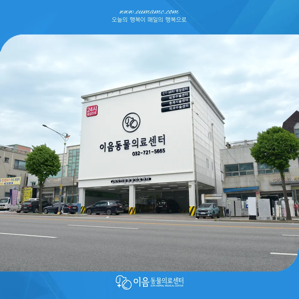 24시인천이음동물의료센터 대표 이미지