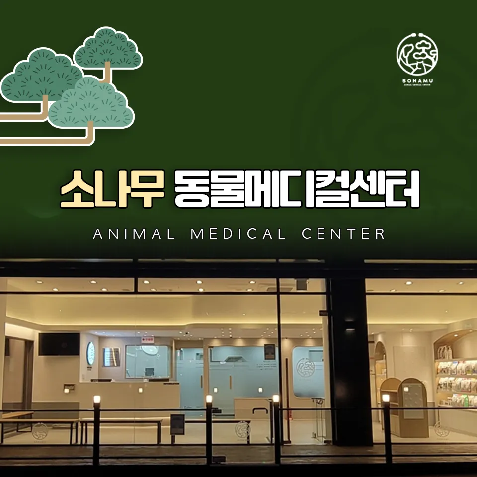 소나무동물메디컬센터 대표 이미지