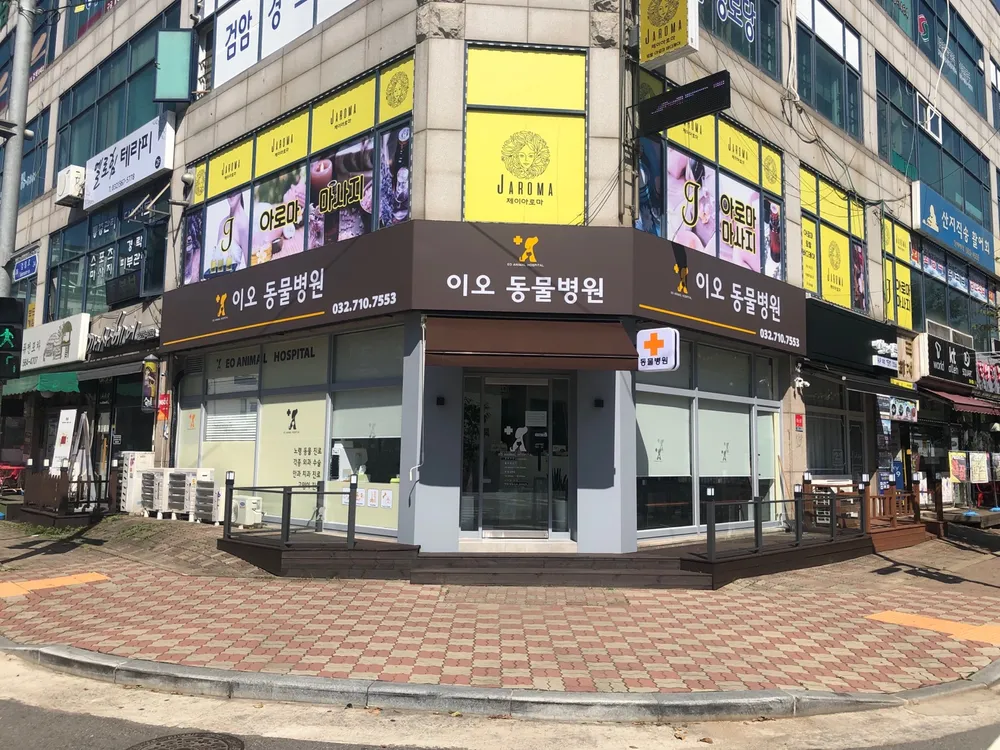 이오동물병원 대표 이미지