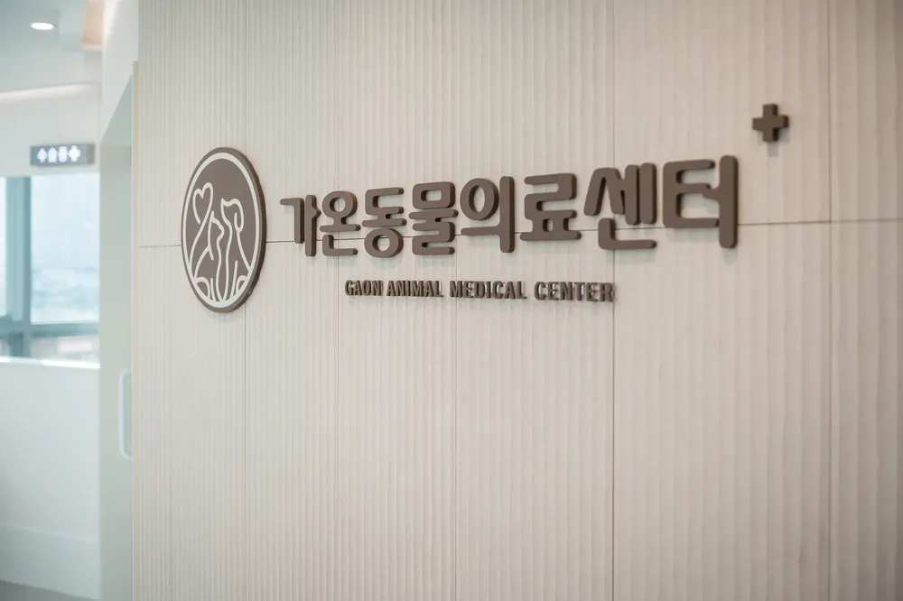 가온동물의료센터 대표 이미지