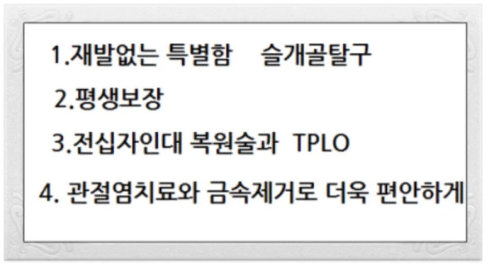 AVC동물메디컬센터 대표 이미지