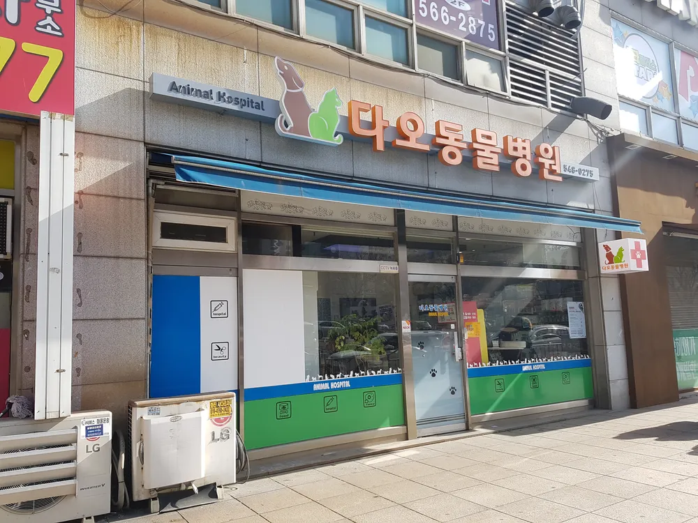 다오동물병원 대표 이미지
