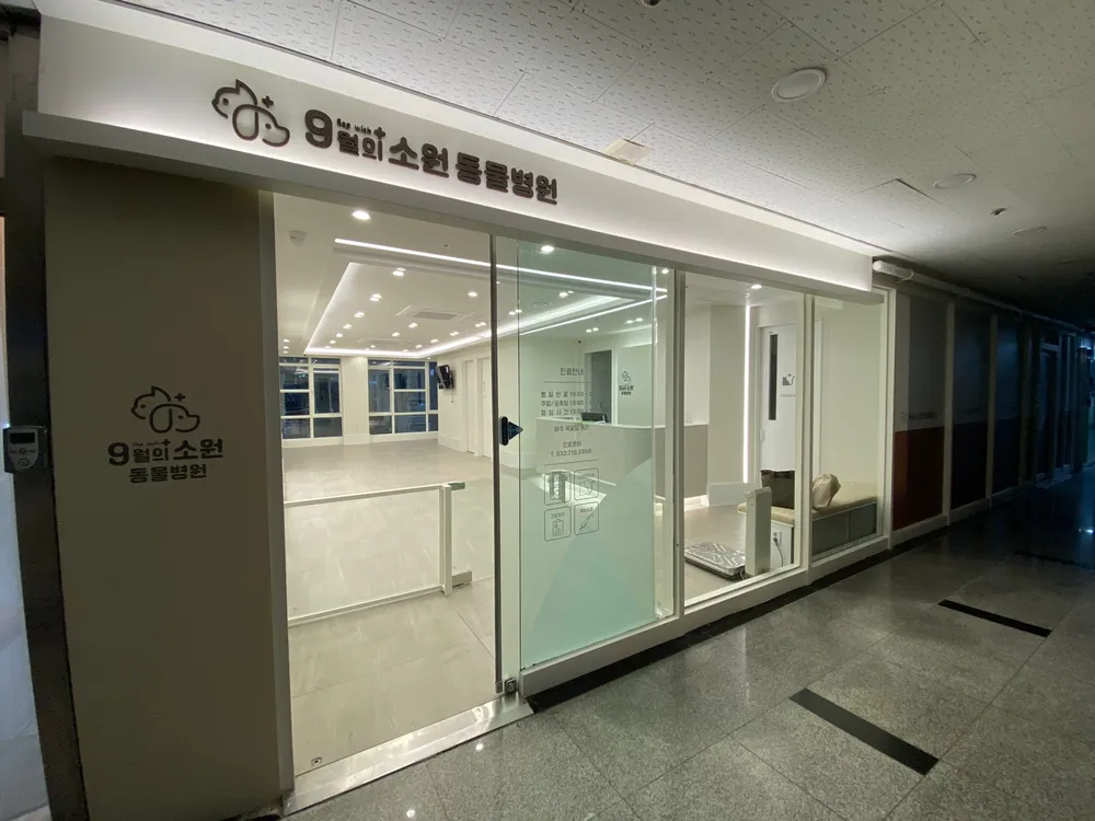 9월의소원동물병원 대표 이미지