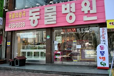 동물의왕국동물병원 대표 이미지