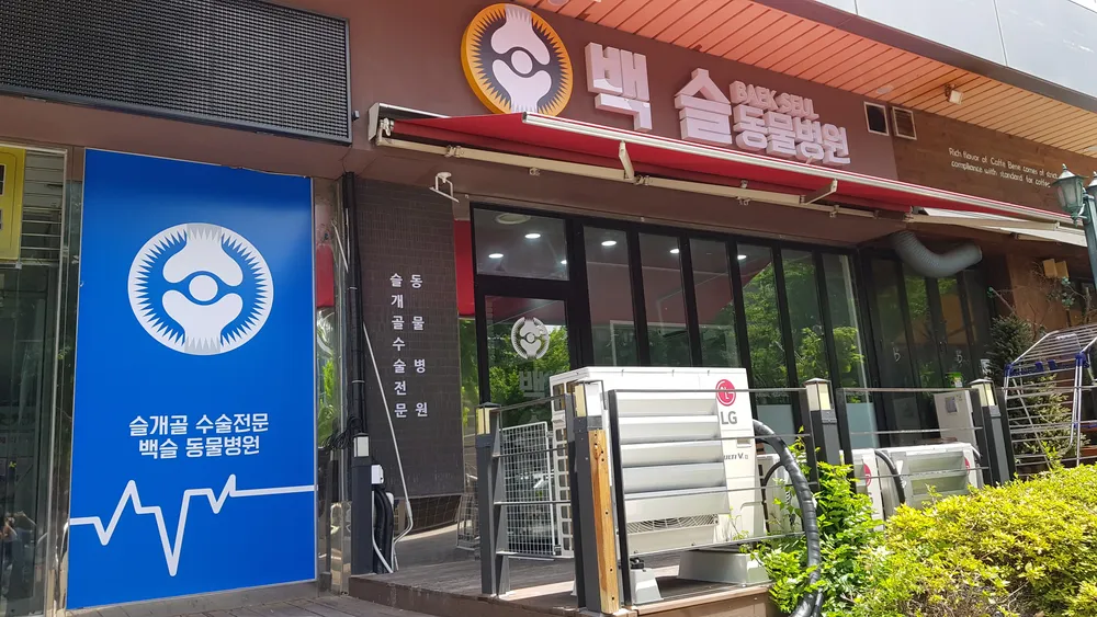 백슬동물병원 대표 이미지