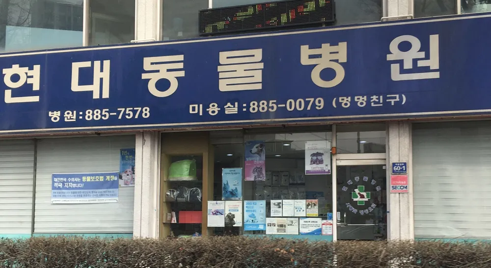 현대동물병원 대표 이미지