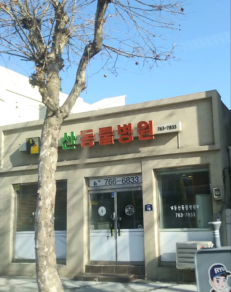 동산동물병원 대표 이미지