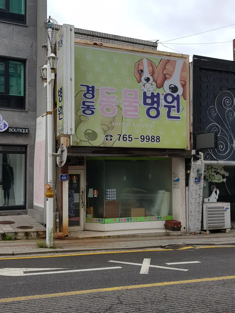 경동동물병원 대표 이미지