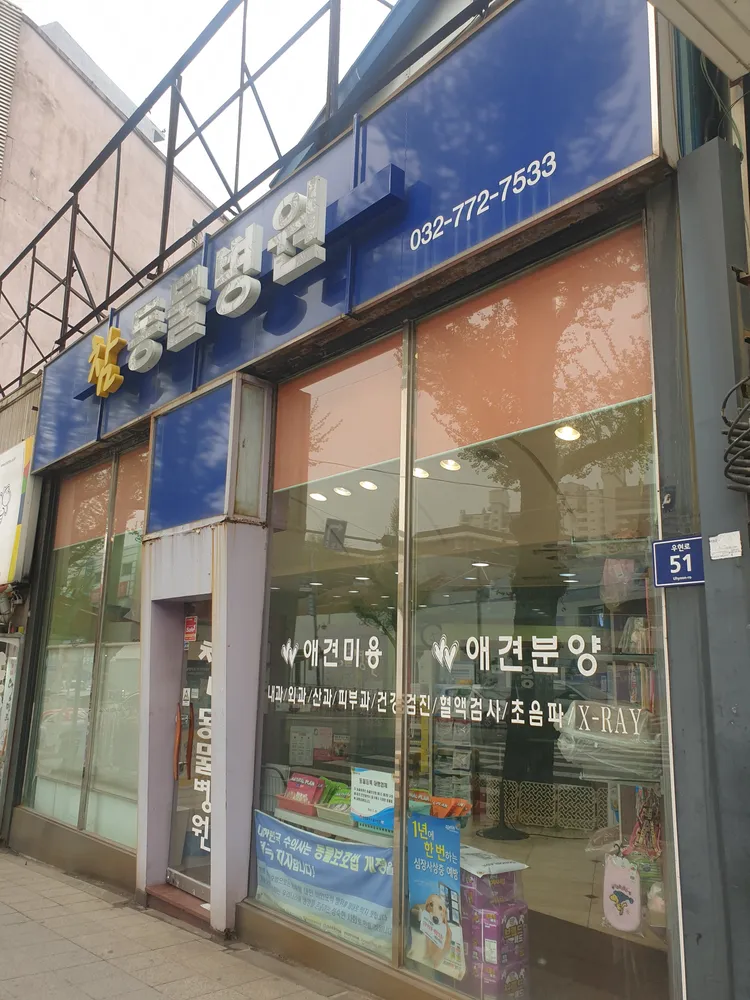 참동물병원 대표 이미지