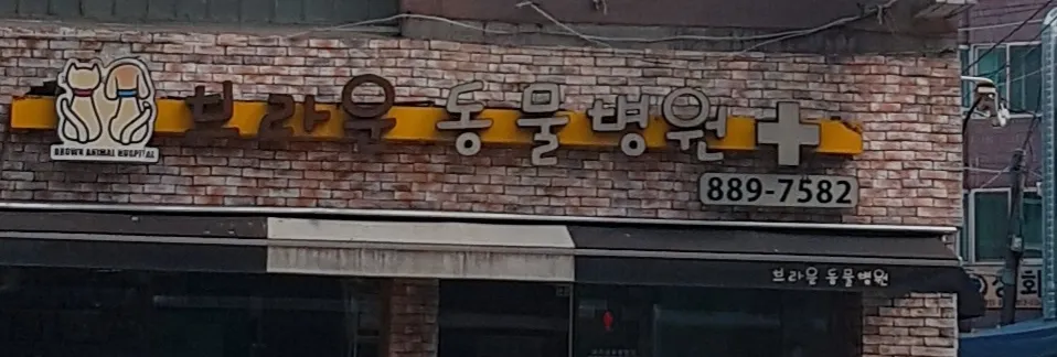 브라운동물병원 대표 이미지