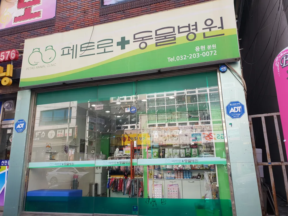 페트로동물병원용현분원 대표 이미지