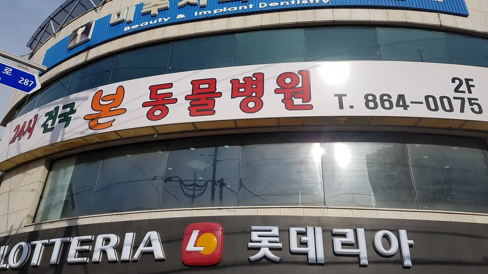 24시건국본동물병원 대표 이미지