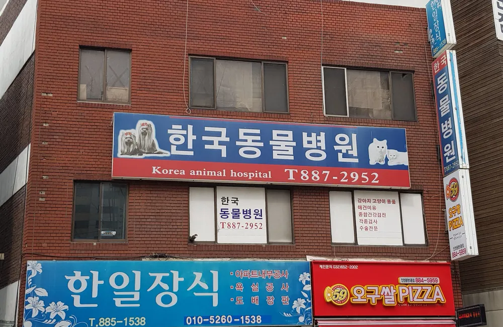 한국동물병원 대표 이미지