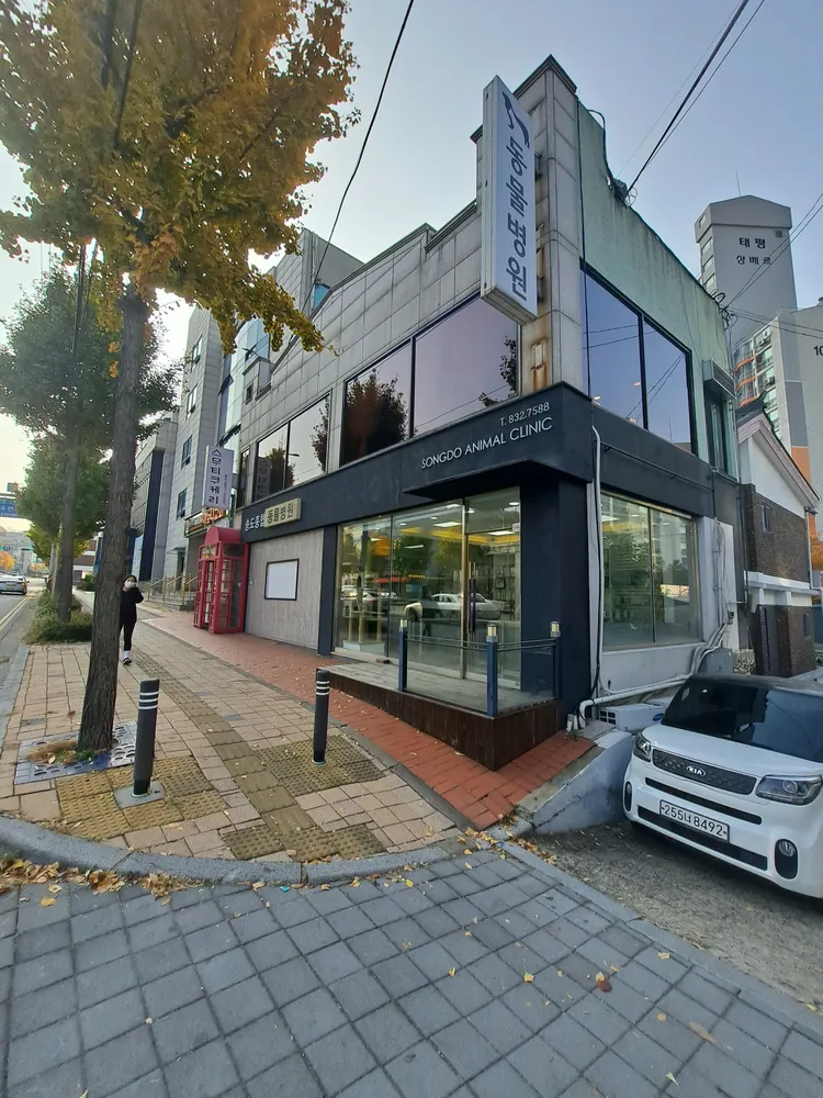 송도종합동물병원 대표 이미지